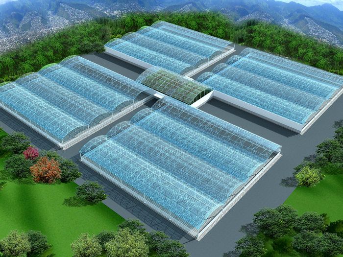 青海牛場